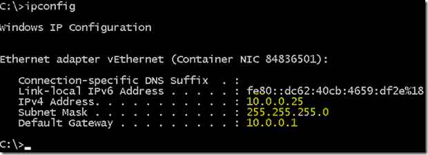 Creating custom NAT network in windows container