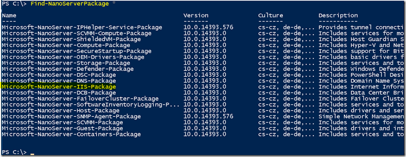Install IIS in NANO Server container
