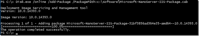 Install IIS in NANO Server container