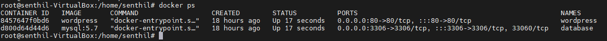 Automatic Docker Container Creation Via Linux Bash Script