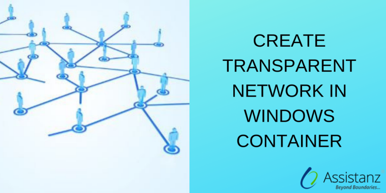 Transparent Network In Windows Container